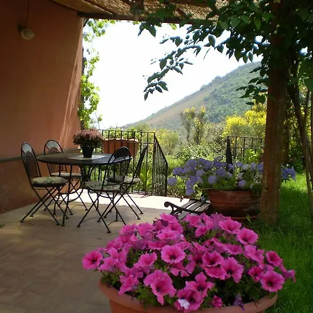 فيلة Monte Ilice زافيرانا إتنيا